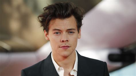The hairball went in one direction: Harry Styles Takes Mom to "Dunkirk" Premiere | Teen Vogue
