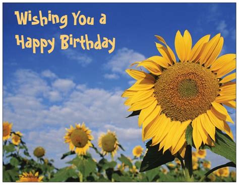 Sunflower Happy Birthday Cards And Refrigerator Magnet Set Juhlin