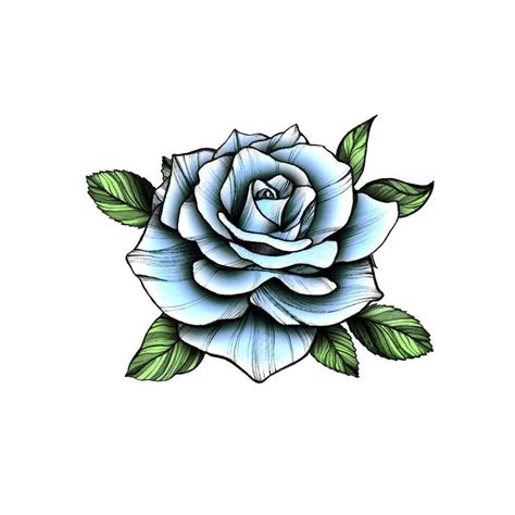 Blue Rose Tattoo Traditional Kata Kata Bijak Vintage Flower Tattoo