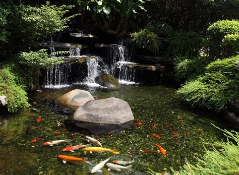 A shallow portion for bathing/wading birds and migrating amphibians. 20 Koi Pond Ideas To Create A Unique Garden | I Do Myself