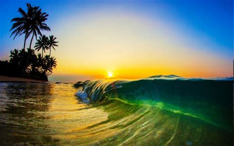 Nature Landscape Sunrise Sunlight Morning Beach Sea Waves Palm