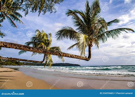 Klong Chao Beach And Its Double Palm Trees In Koh Kood Trat Thailand Stock Image Image Of