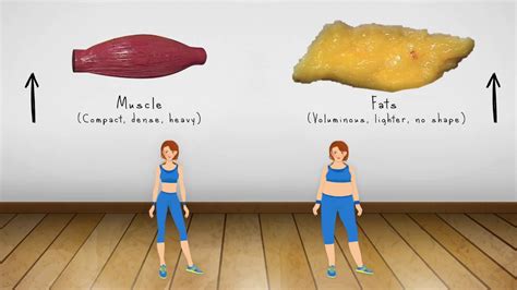 Weight Loss Vs Fat Loss Animated Video Difference Between Fat And