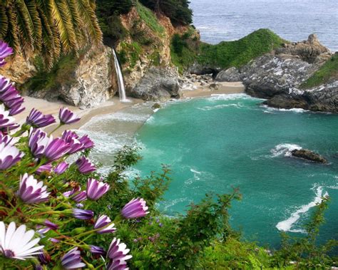 Naturaleza, Paisaje, Playa, Acantilado, Flores - The Wallpaper