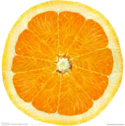 橙子剖面素材贴图摄影图水果生物世界摄影图库昵图网