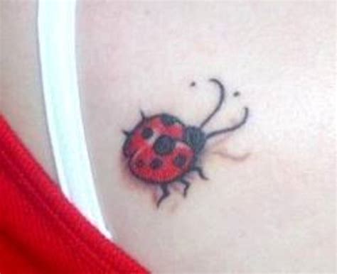 Ladybug Tattoos And Ladybug Tattoo Meanings Ladybug Tattoo Designs And