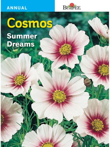 Burpee Cosmos Summer Dreams Seeds 1 Ct Fred Meyer