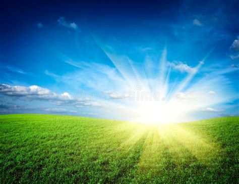 Sunset Sun And Field Of Green Grass Stock Image Image Of Rays
