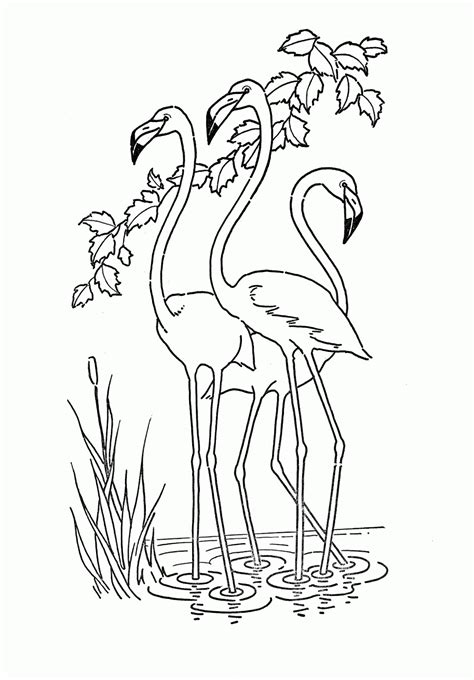 Discover our free coloring pages for kids. Birthday Flamingo Coloring Pages - Coloring Home