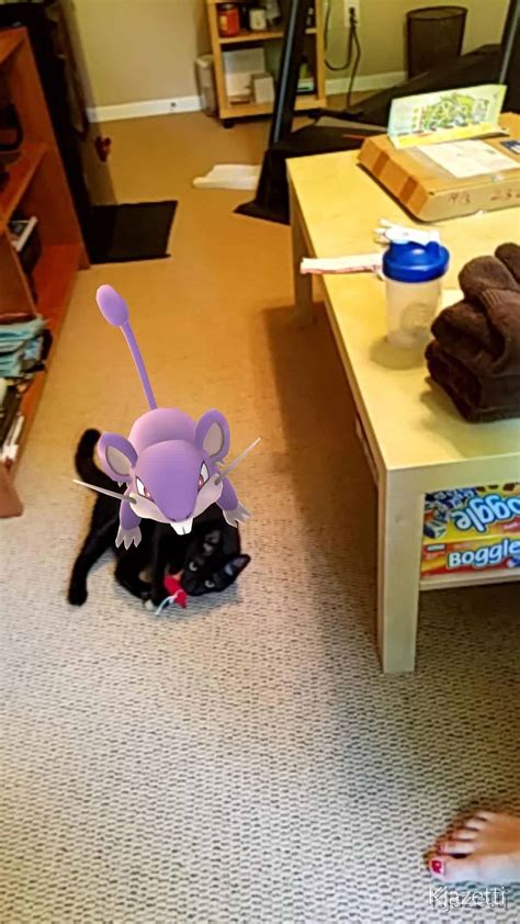 22 weird places people are finding pokemon on ‘pokemon go