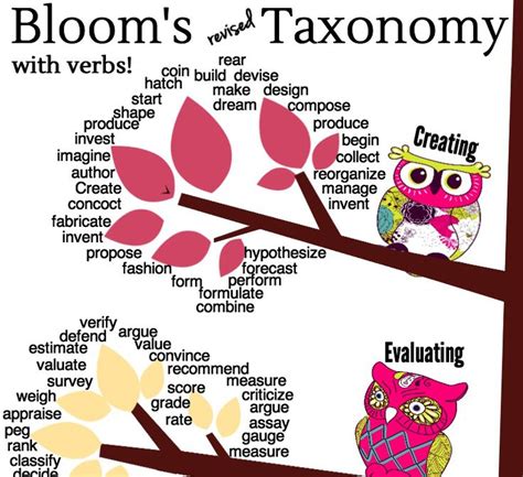 Download This Adorable Owls Revised Blooms Taxonomy Poster Blooms