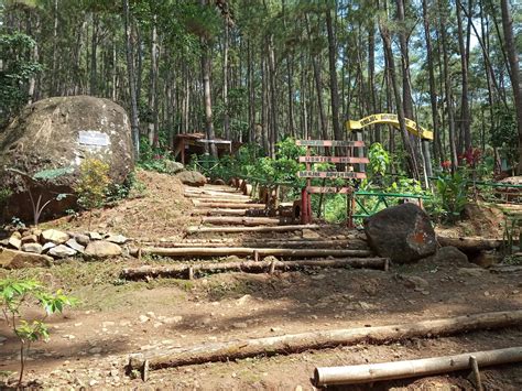 Cari tahu informasi tentang jurusan pengelolaan hutan di tahun 2021. Pendamping Profesional: Brujul Peniron Pejagoan Kebumen Wisata baru