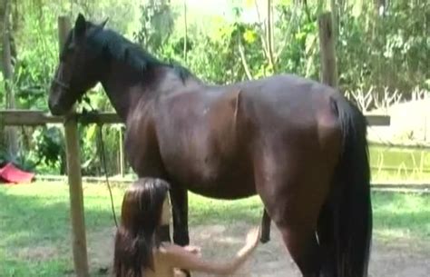 Chick Wanted Sex And Went To Horse For Penetration Zoo Tube 1