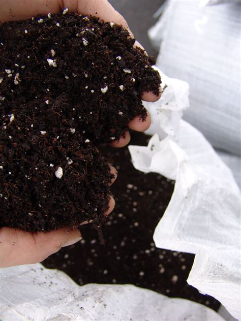 Hydroponics ecothrive coco mixes pebble mix mix pro lite mix soil 40l 50l grow. What's the Best Growing Medium for Weed: Soil, Coco or ...