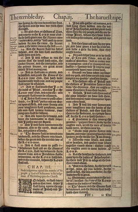 The book consists of to discover more verses in the book of joel, please click on the chapter that you would like to read. JOEL CHAPTER 2 (ORIGINAL 1611 KJV)