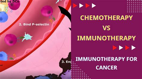 Immunotherapy For Cancer I Difference Between Chemotherapy And