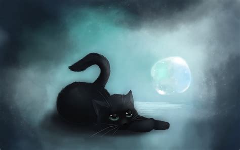 Cat Black Art Wallpaper 1680x1050 9118