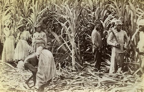 30 Rare Vintage Photos Of Everyday Life In Jamaica Before 1900 I Am A Jamaican