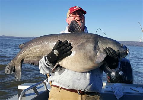 How To Catch Catfish The Complete Catfishing Guide
