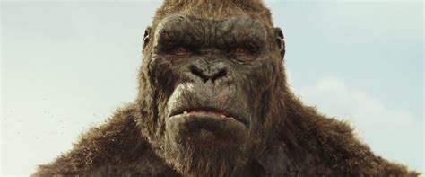 Season 1: Episode 1- King Kong - Cinematica Animalia