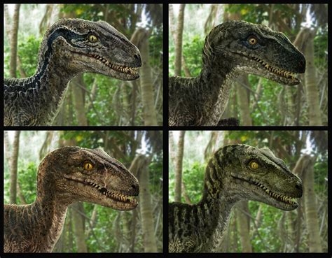 Karl Lindberg On Twitter Designs I Did For The 4 Raptors In Jurassic World