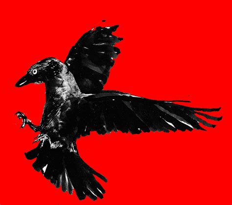 Jackdaw Issue 6 Out Now Anarchist Communist Group