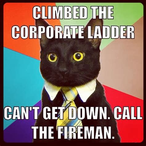 Caterville Business Cat Memes