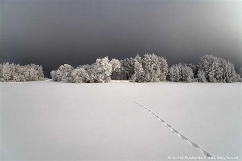 Best New Nature And Wildlife Entries To The 2017 Sony World Photography