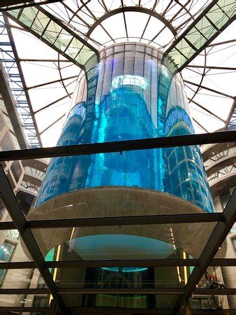 AquaDom & SEA LIFE Berlin : 2019 Ce qu'il faut savoir pour votre visite