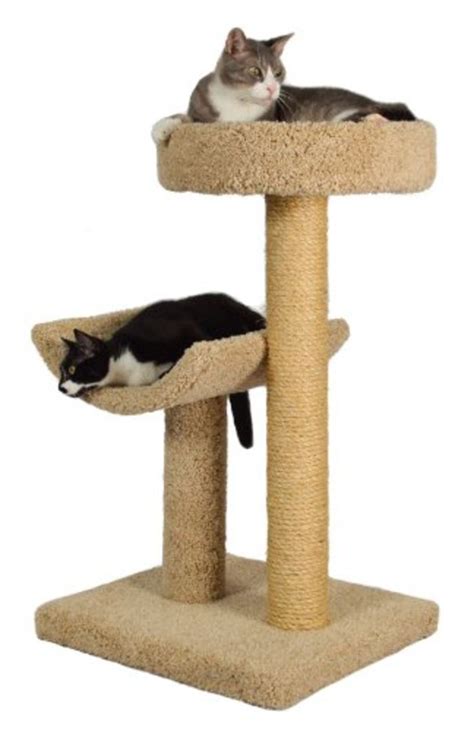 The best cat trees for big cats are built with this in mind. Best Cat Trees for Large Cats | A Listly List