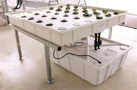 Complete Hydroponic Kits For Growing Vegetables Indoors