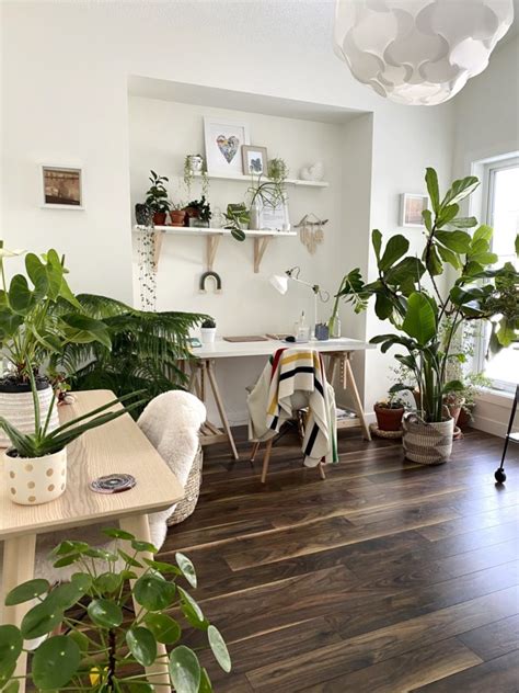 10 Unique Plant Decorating Ideas For Your Home My Tasteful Space