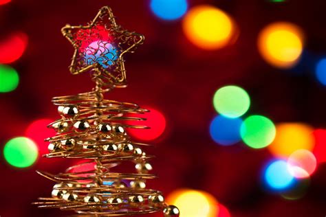 Christmas Free Stock Photo Public Domain Pictures