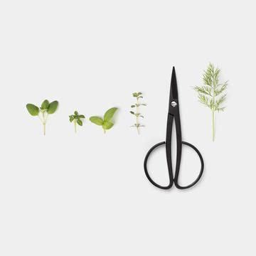 Kobayashi Harvester Scissors with herbs top (With images) | Kobayashi ...