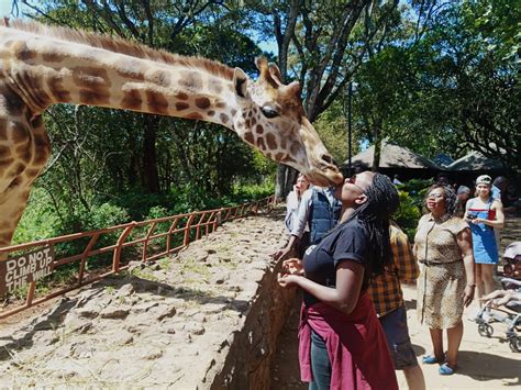 Giraffe Center Nairobi, Kenya. - kemzykemzy