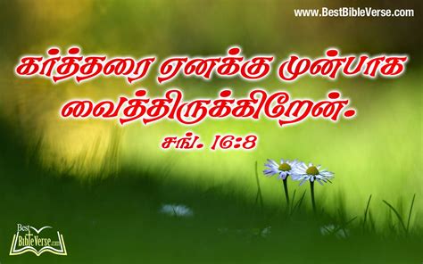 Bible quotes bible verses tamil bible words proverbs 21 jesus wallpaper trust god lord blessed mens fashion. Download Bible Words In Tamil HD Wallpapers Gallery
