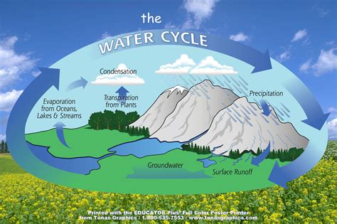 Water Cycle Poster Examples Mark Library