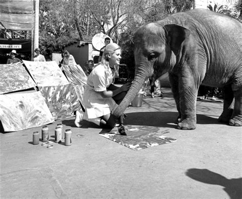 Joan Embery And Carol Elephant San Diego Zoo 100