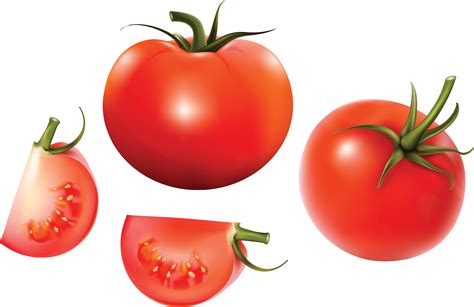 Collection Of Tomato Png Hd Pluspng