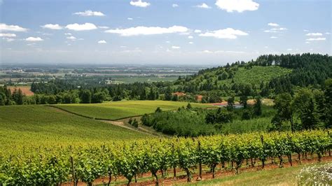 Oregon Wine Region Photo Gallery Willamette Valley Allison Inn