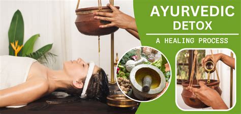 A Perfect Guide To Ayurvedic Detox Treatment In Rishikesh Haritha Ayurveda