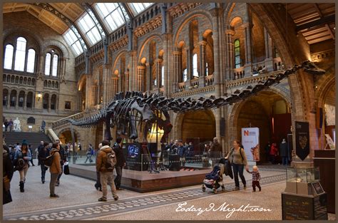 Natural History Museum, England 2019
