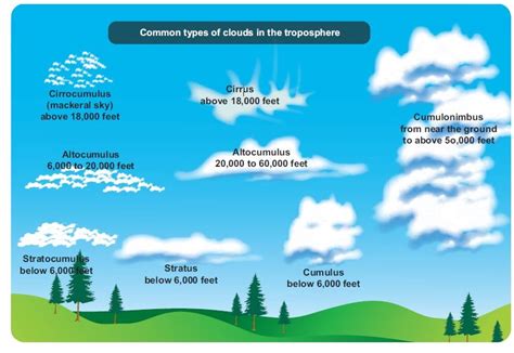 Humidity Condensation Clouds And Precipitation