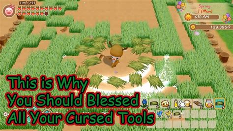 This is Why You Should Blessed All Your Cursed Tools | Story of Seasons