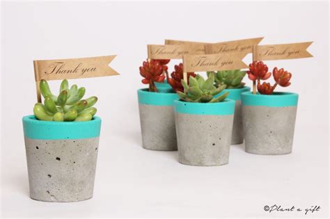 Maybe you would like to learn more about one of these? WEDDING & CORPORATE GIFTS | Plant A Gift - Melbourne ...