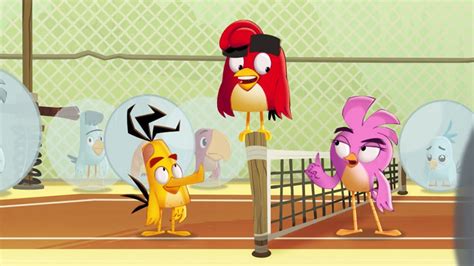 Angry Birds Locuras De Verano Temporada 3 Avance Doblado Netflix