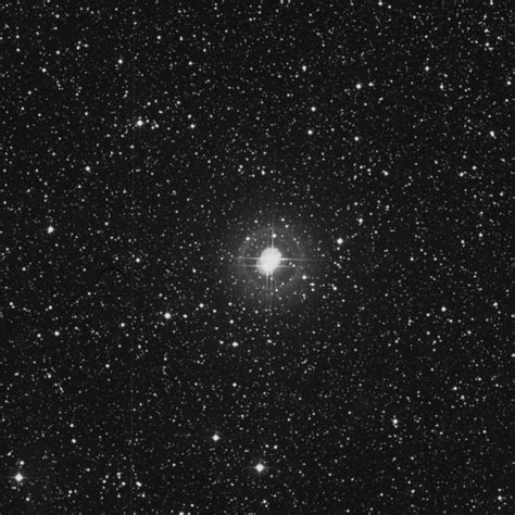 61 Cygni Star In Cygnus