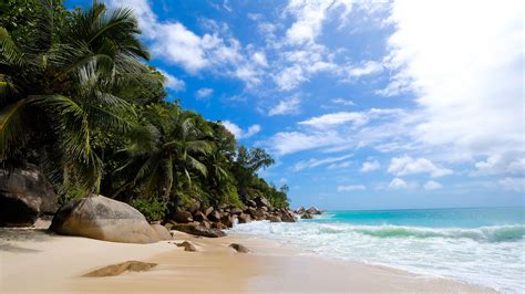 Download Wallpaper 3840x2160 Shore Ocean Waves Palm Trees Tropics