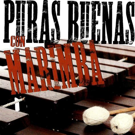 Marimba Music Musica Con Marimbas Album By Puras Buenas Con