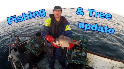 Fishing And Tree Update Youtube
